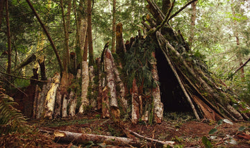 12 Essential Survival Skills Every Camper Should Know - aZengear (Artdriver Ltd)