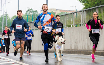 Beginner Half Marathon Training Plan - aZengear (Artdriver Ltd)