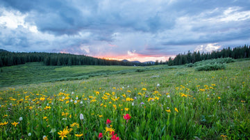 Essential Spring Camping Tips: Make the Most of Your Outdoor Adventure - aZengear (Artdriver Ltd)