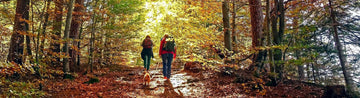 How to Enjoy a Great Autumn Hike – Helpful Tips and Guidelines - aZengear (Artdriver Ltd)