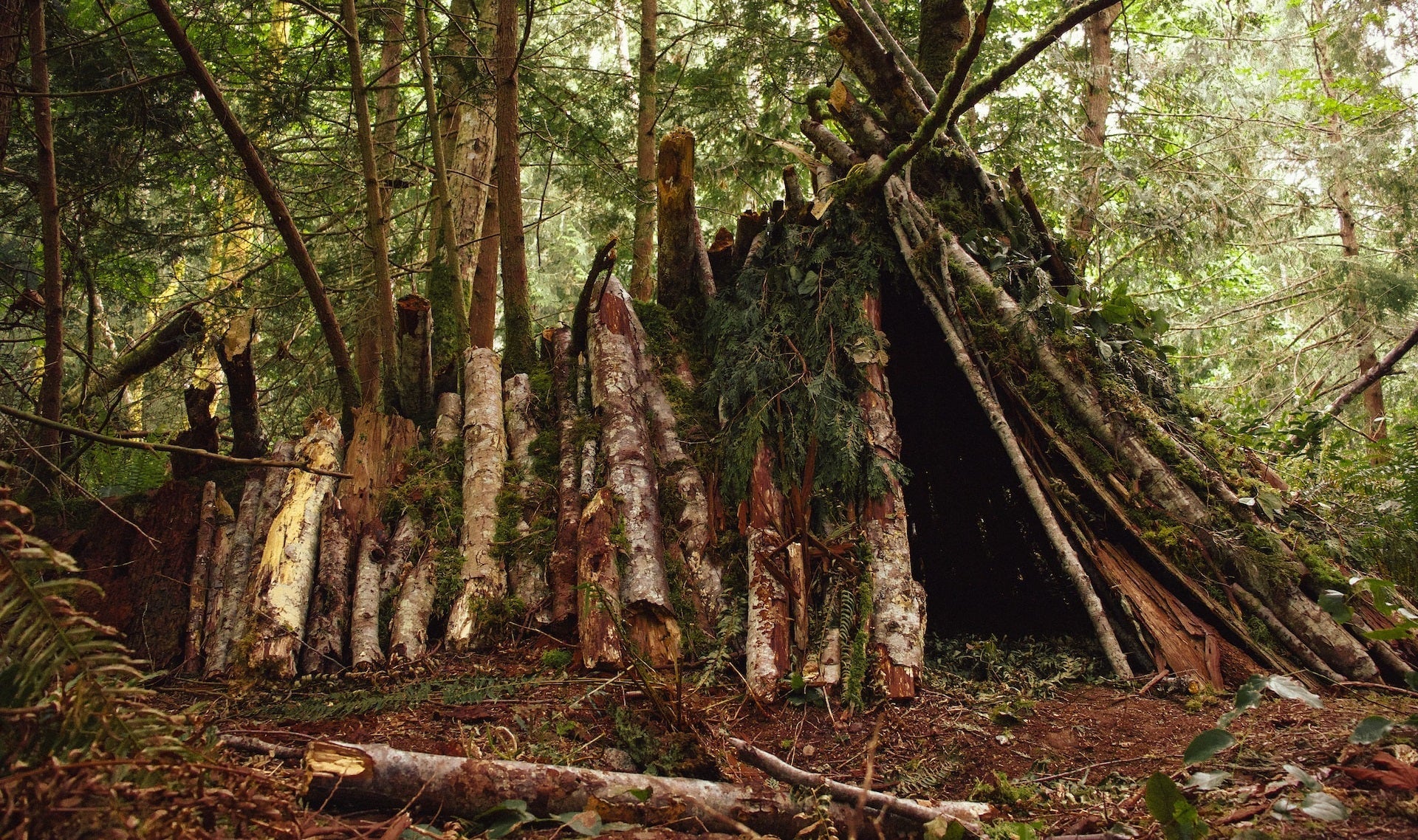 12 Essential Survival Skills Every Camper Should Know