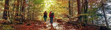 How to Enjoy a Great Autumn Hike – Helpful Tips and Guidelines - aZengear