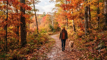 The Gear You Forget to Check Before Your Last Autumn Hike - aZengear