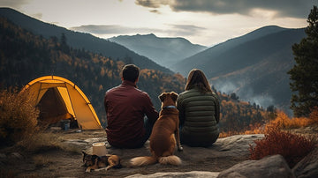 Your Guide to Hiking, Backpacking, and Camping with Dogs - aZengear